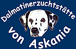 Dalmatinerzuchtst�tte von ASKANIA